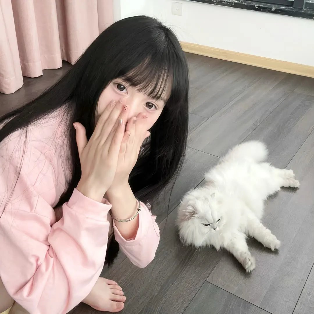 泪桥
