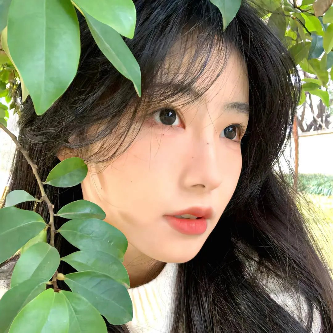 女人树